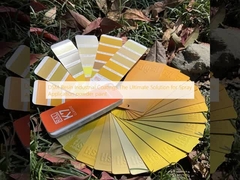 DSM Rivestimenti industriali in resina La soluzione definitiva per la verniciatura a spruzzo