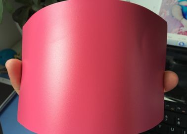 Risorse a resina epossidica antibatteriche della pittura della polvere del poliestere che conservano alta prestazione esteriore