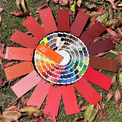 Rivestimento a polvere epossidico poliestere con colori personalizzati, materie prime Dupont, polimerizzazione a 180°C per applicazioni interne